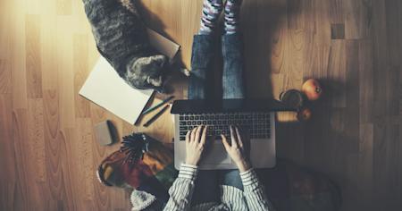 IT helpdesk manager sitting on the floor with a cat, researching remote access software for businesses