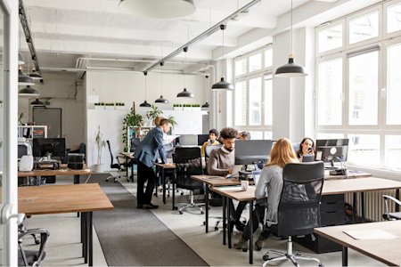 Coworkers working in an office at their computers.