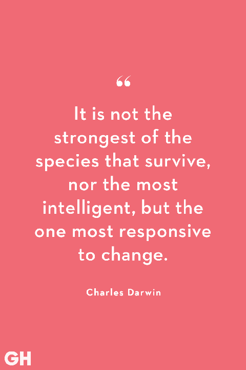 A pink background with a white quote: It is not the strongest of the species that survive, nor the most intelligent, but the one most responsive to change. – Charles Darwin. GH is in the lower left corner.