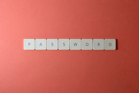 The word "password" spelled out with blocks.